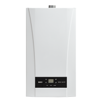 Настенный газовый котел BAXI ECO Nova 1.24F